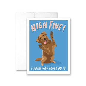Hi Five - I Knew You Could Do It Greeting Card